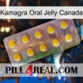 Kamagra Oral Jelly Canada new11